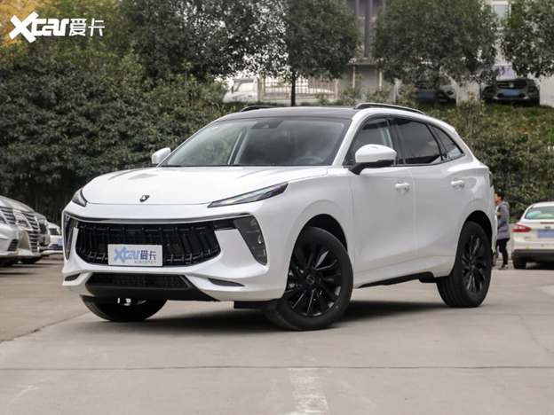 Forthing T5 EVO Exclusive Version - White